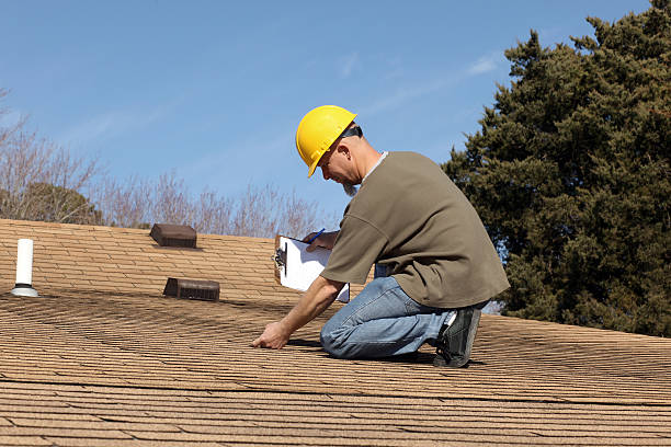 Best Asphalt Shingles Roofing  in Windsor, IL