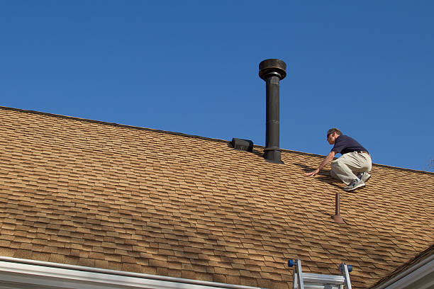 Best Green or Eco-Friendly Roofing Solutions  in Windsor, IL
