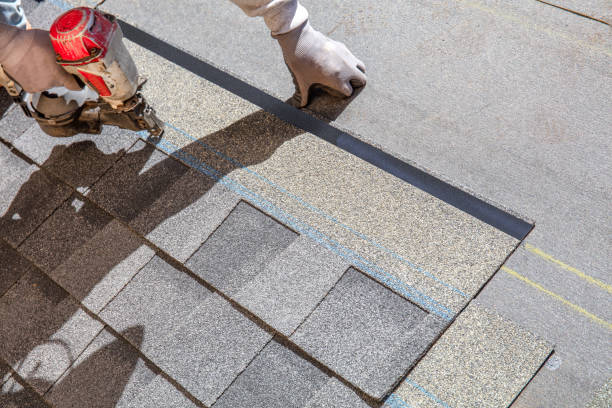 Best Chimney Flashing Repair  in Windsor, IL